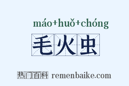毛火虫是什么意思的图片